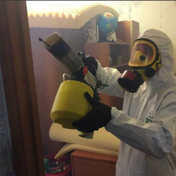 Уничтожение клопов в квартире. Сенгилей